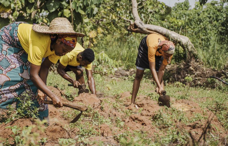 Mapuwa from DR Congo's Kivu region uses FFE's sustainable agriculture knowledge to introduce drought-resistant plants and water management 